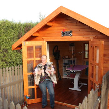 Hole Diggers Dog Spa