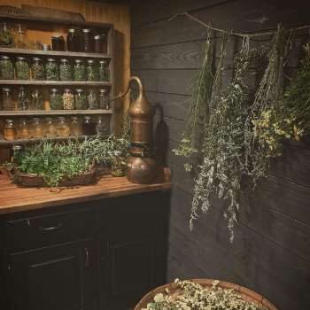 garden_5