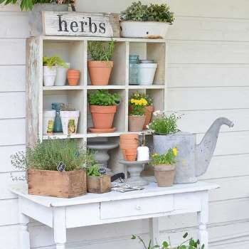 garden_7