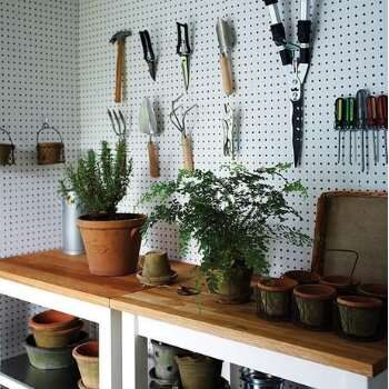 garden_8